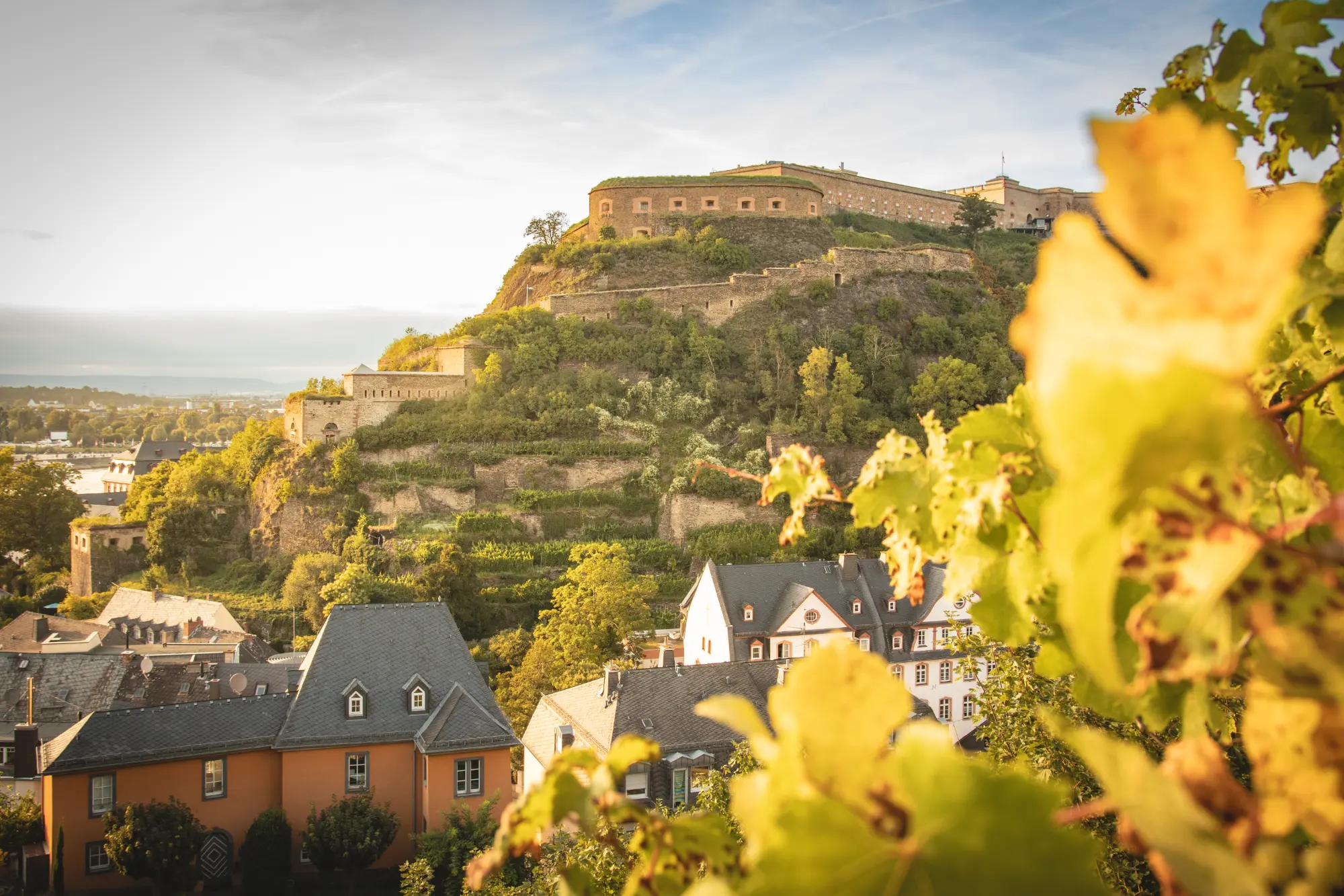 Detailaufnahme der hoch auf dem Felsen thronenden Festung Ehrenbreitstein über den Dächern von Ehrenbreitstein in Koblenz, eingerahmt von grünen Weinblättern.