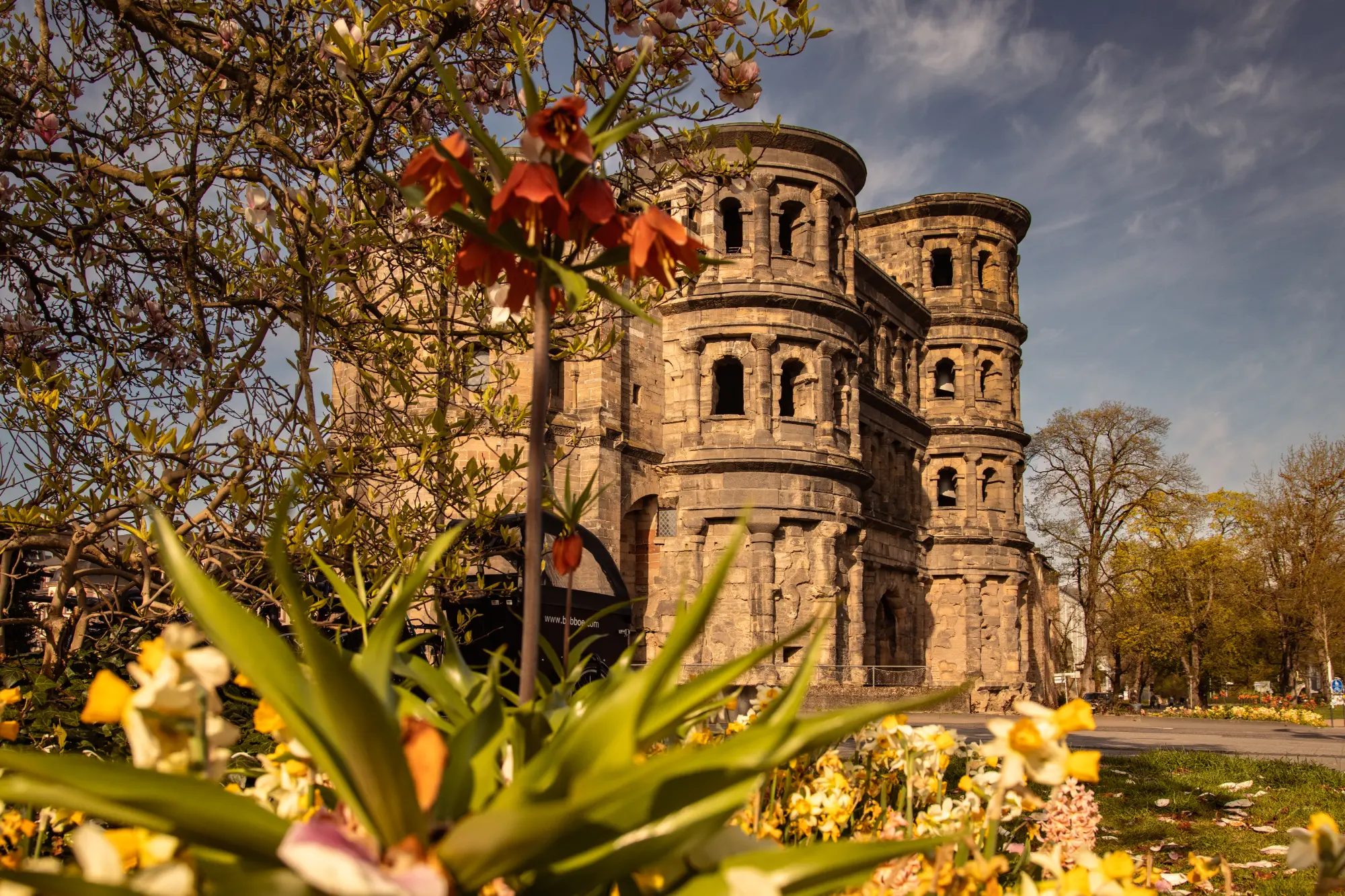 Das römische Stadttor Porta Nigra in Trier im Frühling, gesehen durch bunte Frühlingsblumen (Osterglocken/Narzissen) und blühende Äste.