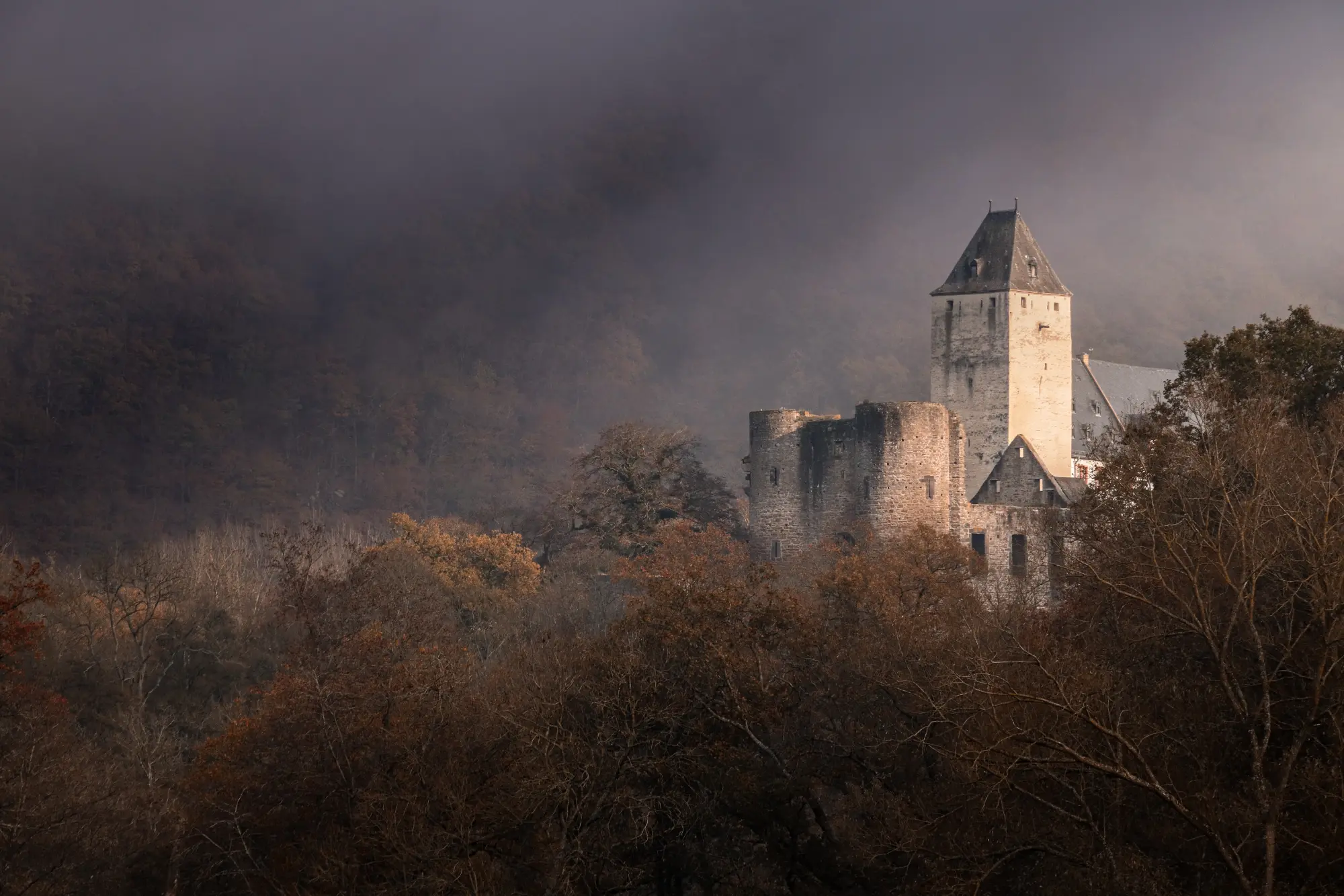 Schloss Bürresheim in der Eifel, teilweise eingehüllt in dichten Nebel, umgeben von Herbstbäumen.