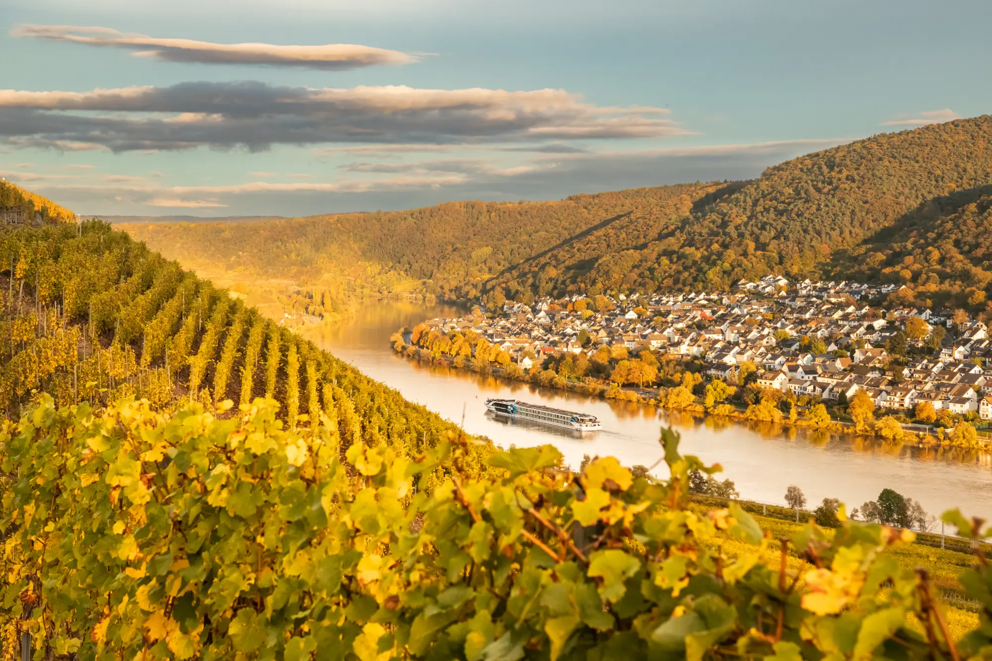Weinberge in herbstlicher Färbung mit Blick auf das Moseltal, den Ort Koblenz-Lay und ein Flusskreuzfahrtschiff auf dem Fluss.